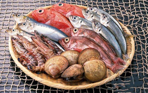 核酸食物:海鱼、贝类、虾等